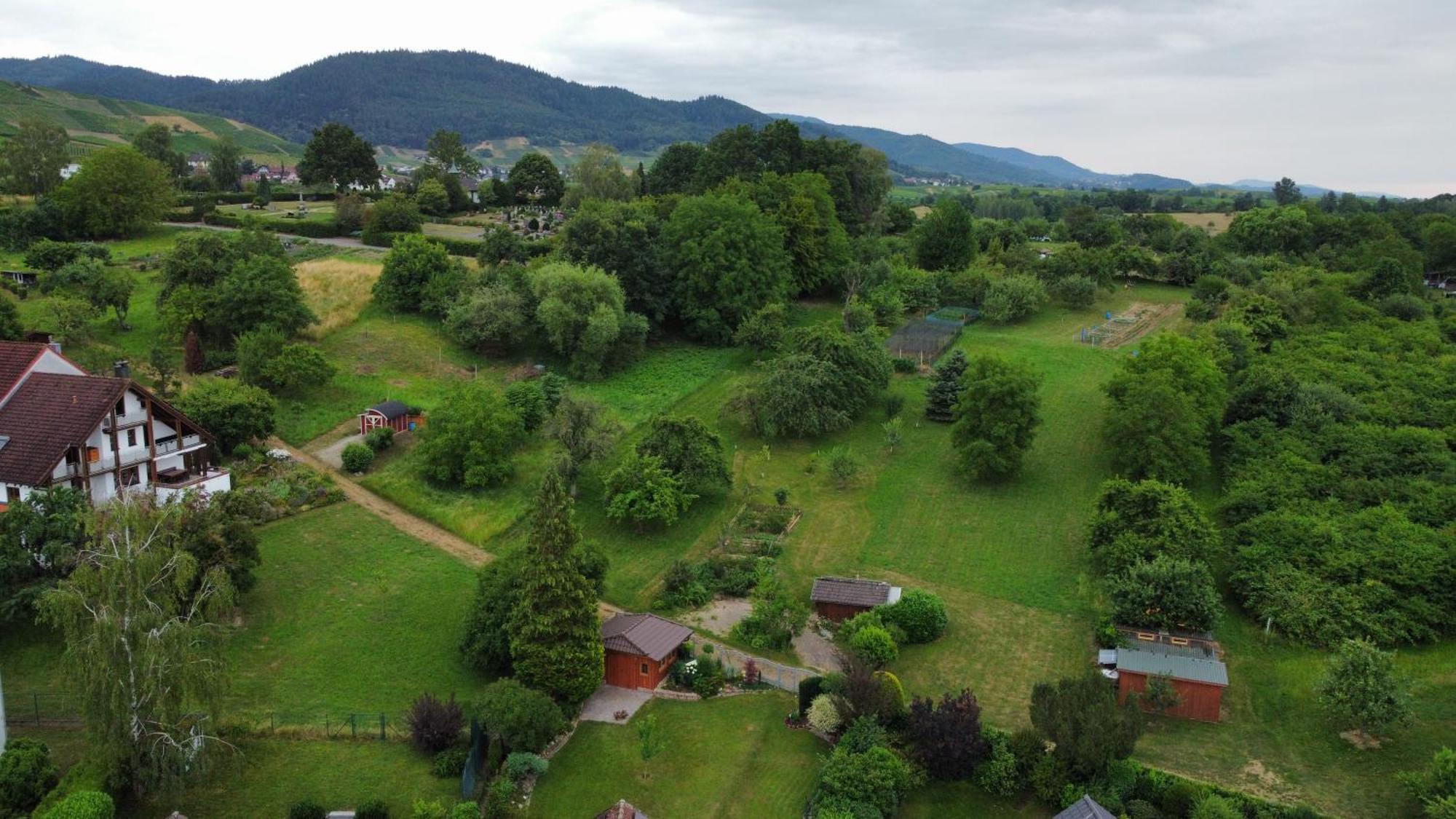 Ferienwohnung Herrnberg Baden-Baden Buitenkant foto